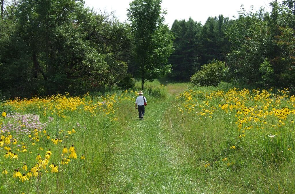 Beliefs, emotions, and chronic pain