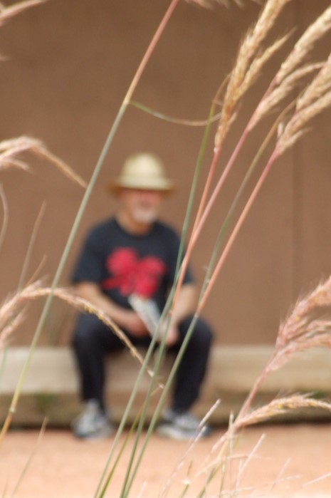 blurry man with grass in front by Val Daigen blurry man with grass in front by Val Daigen